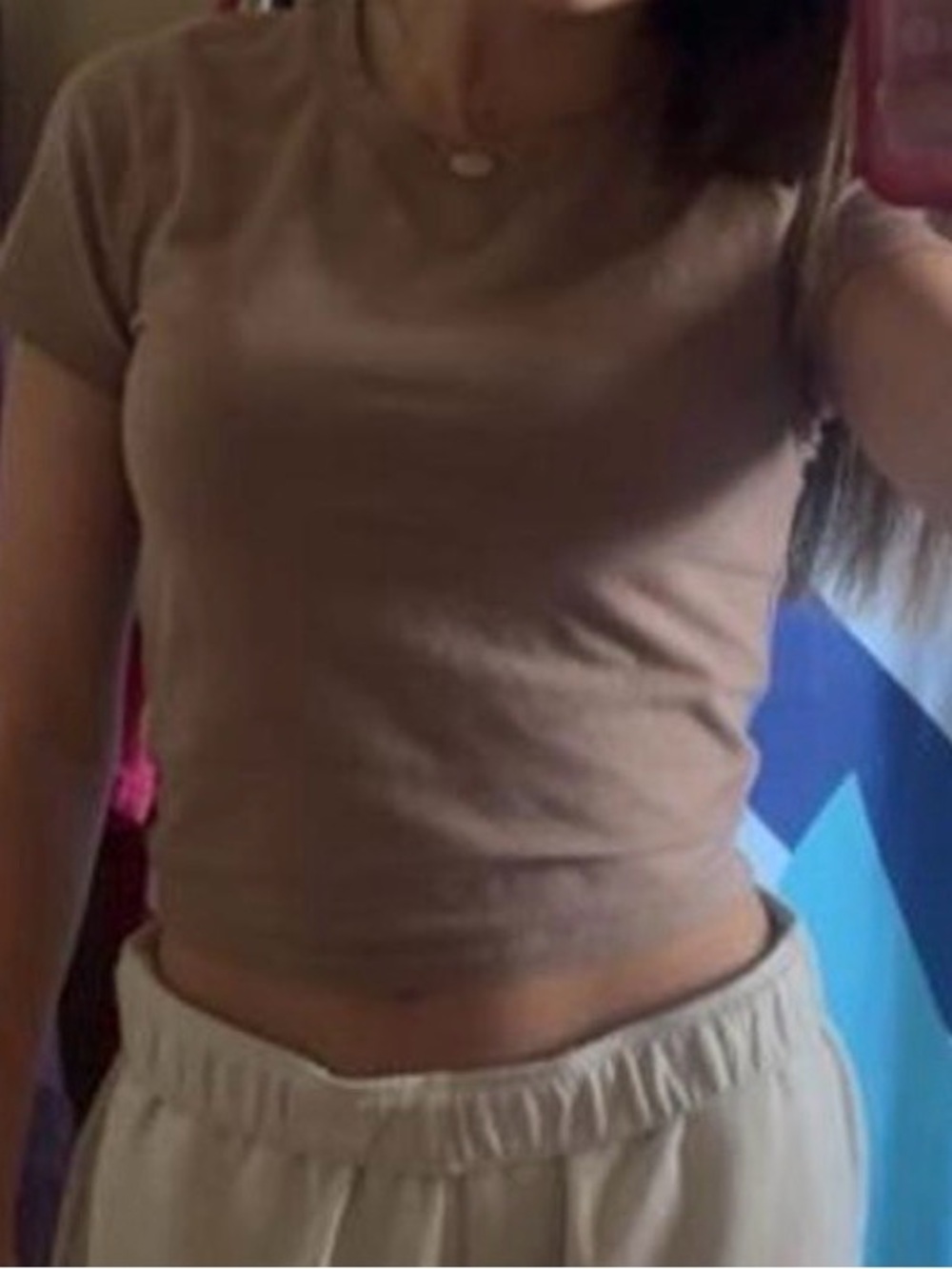 Hollister Fitted Crop Tee in Light Brown